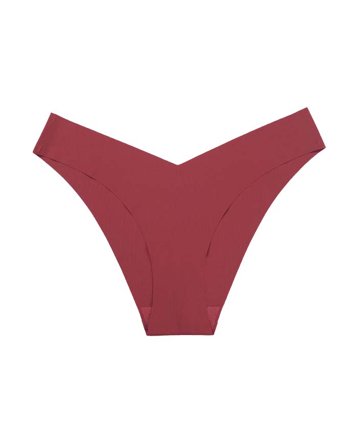 Seamless V-Waist  Bikini